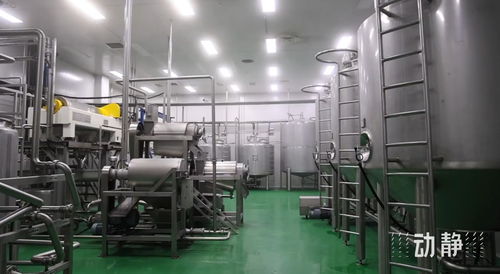 全省唯一！麻江县获批全国农产品骨干冷链物流重点县，为农产品进出口注入强劲动力